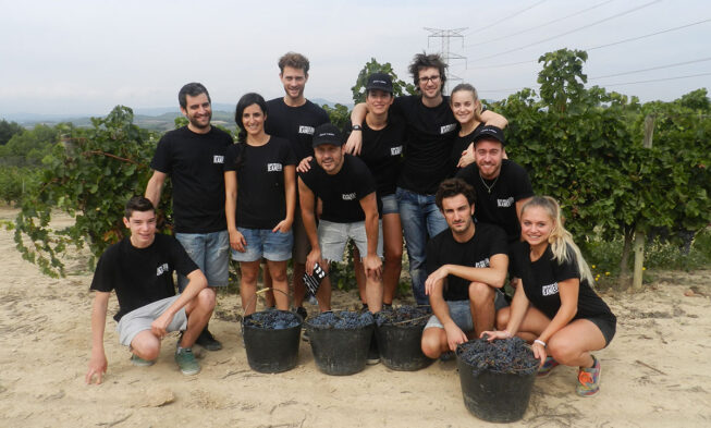 Un grupo de actores catalanes vendimian en Jean Leon Un grupo de actores catalanes vendimian en Jean Leon