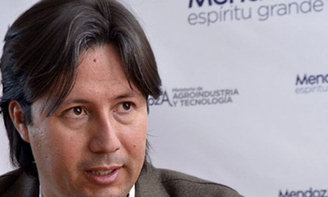 El Gobierno de Mendoza crea una Dirección Provincial de Vitivinicultura