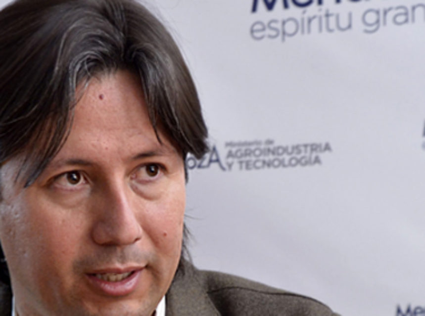 El Gobierno de Mendoza crea una Dirección Provincial de Vitivinicultura