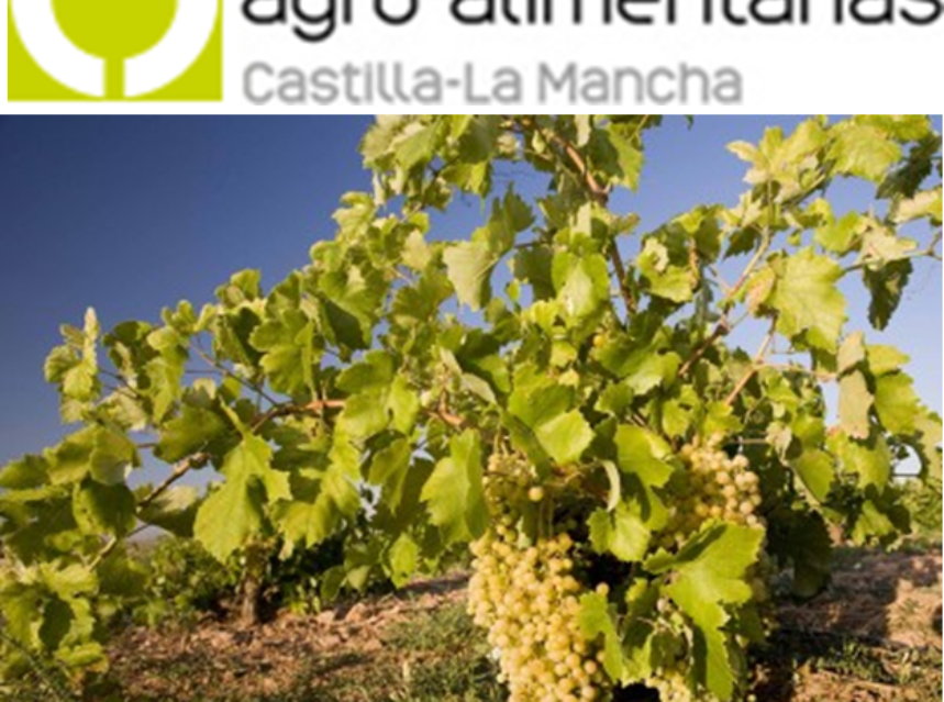 ¡¡Participa en el Concurso 'La Mejor Foto de la Vendimia 2013 en Castilla-La Mancha!!