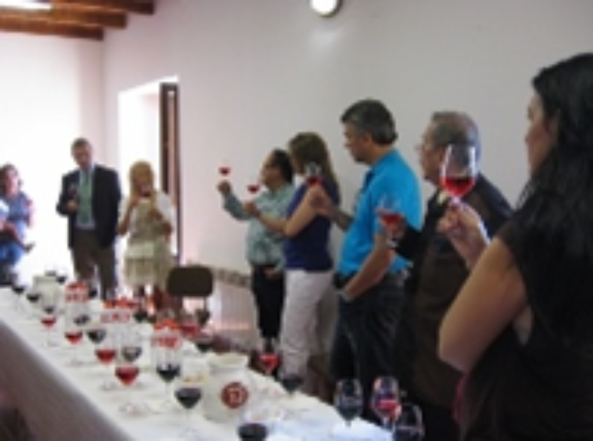 Una delegación mexicana conoce en profundidad los vinos de Cigales