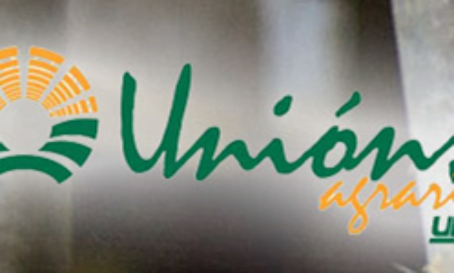 COLECCIÓN DE GARANTÍA Y PRECIO PARA uvas RIBEIRO