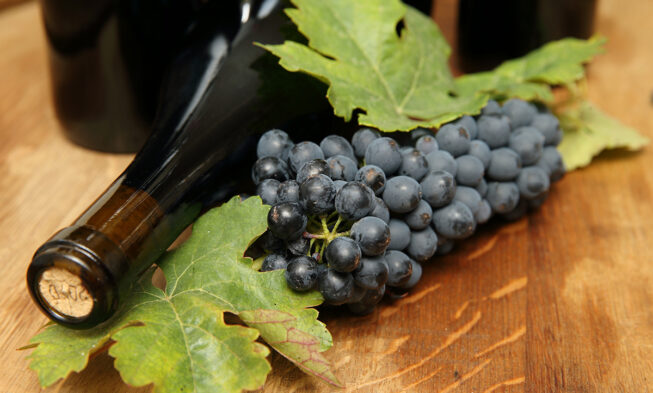 Catas divulgativas en La Noche en Vino, dentro de la Cumbre Internacional del Vino Catas divulgativas en La Noche en Vino