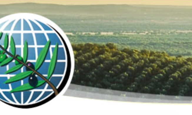 El COI celebrará una reunión junto a la Comisión Europea y los expertos sobre Xylella fastidiosa en el olivar El COI celebrará una reunión junto a la Comisión Europea y los expertos sobre Xylella fastidiosa en el olivar