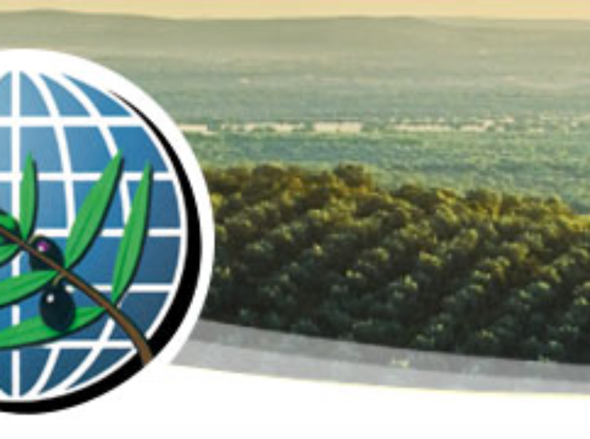El COI celebrará una reunión junto a la Comisión Europea y los expertos sobre Xylella fastidiosa en el olivar El COI celebrará una reunión junto a la Comisión Europea y los expertos sobre Xylella fastidiosa en el olivar