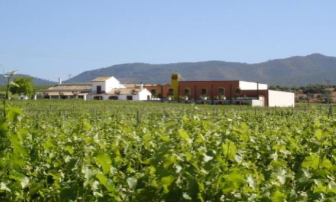 La Ruta del Vino de Utiel-Requena