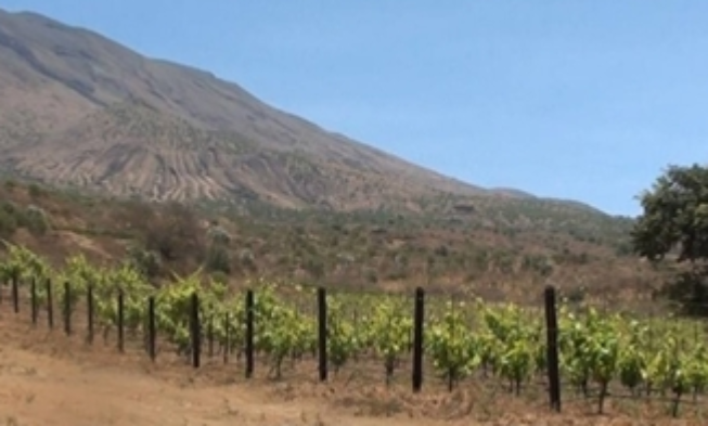 La isla de Fogo