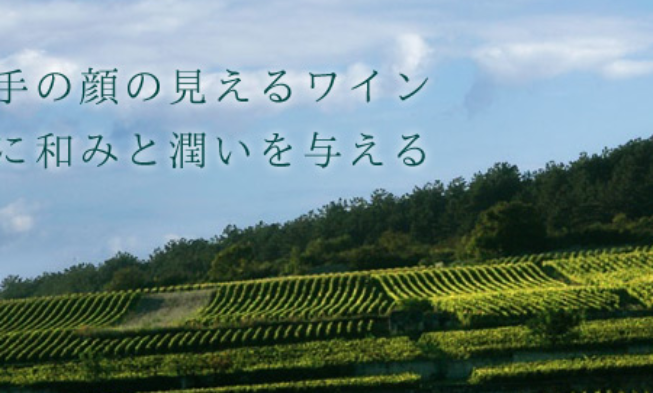 CVNE compra la firma japonesa de distribución de vino Mikuni Wine