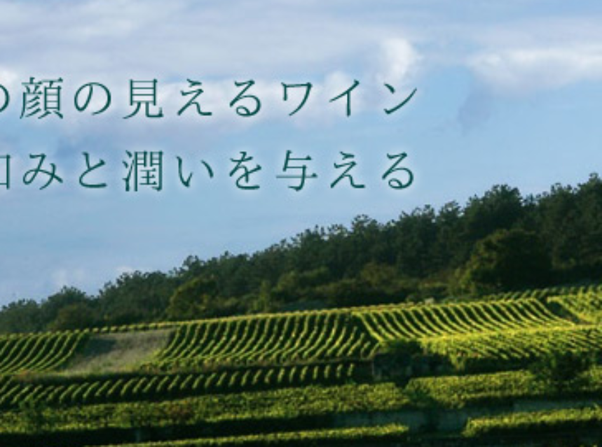 CVNE compra la firma japonesa de distribución de vino Mikuni Wine