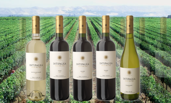 Inauguran en Honduras el Primer Festival de Vino Peruano Intipalka Inauguran en Honduras el Primer Festival de Vino Peruano Intipalka