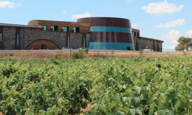 Las bodegas de la Ruta del Vino Ribera del Duero baten su récord y alcanza las 180.000 visitas en 2013