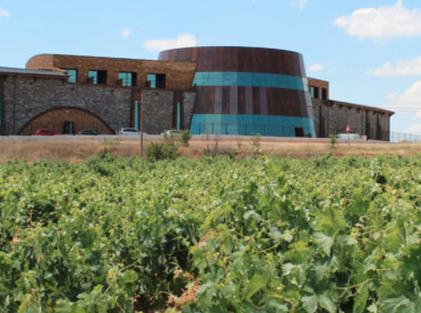 Las bodegas de la Ruta del Vino Ribera del Duero baten su récord y alcanza las 180.000 visitas en 2013 Las bodegas de la Ruta del Vino Ribera del Duero baten su récord y alcanza las 180.000 visitas en 2013