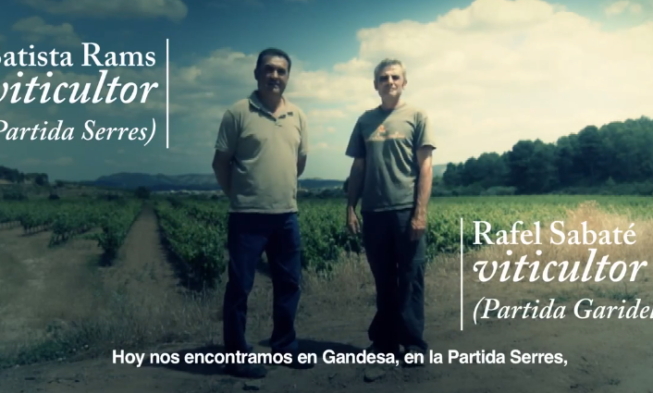 Most. Penedès Festival Internacional de Cine del Vino y el Cava