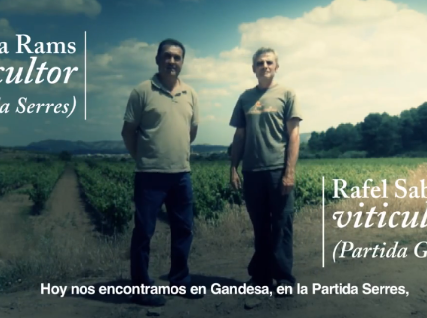 Most. Penedès Festival Internacional de Cine del Vino y el Cava Most. Penedès Festival Internacional de Cine del Vino y el Cava