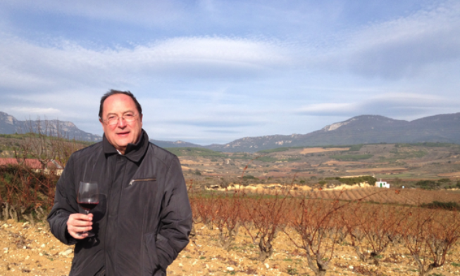 Matarromera se implanta en Rioja Matarromera se implanta en Rioja