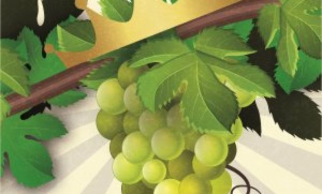 La D.O. Navarra apuesta por sus vinos blancos