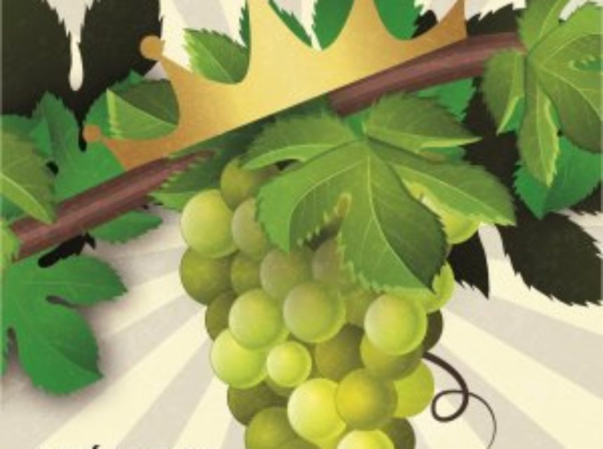 La D.O. Navarra apuesta por sus vinos blancos La D.O. Navarra apuesta por sus vinos blancos