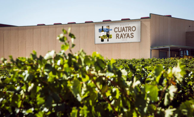 Bodegas Cuatro Rayas logra optimizar sus procesos productivos y de gestión