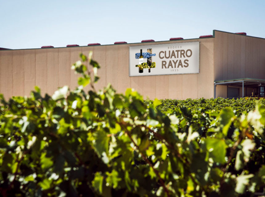 Bodegas Cuatro Rayas logra optimizar sus procesos productivos y de gestión