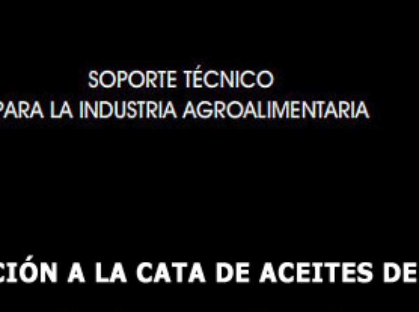 Curso de Iniciación a la Cata de Aceites de Oliva Vírgenes