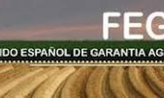 El Gobierno aprueba la modificación del estatuto del Fondo Español de Garantía Agraria (FEGA)