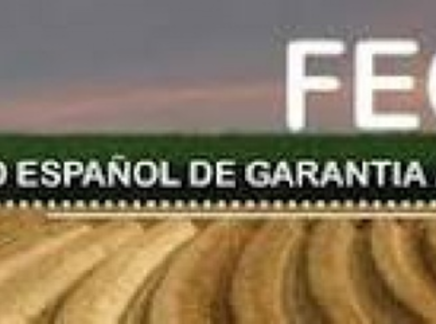 El Gobierno aprueba la modificación del estatuto del Fondo Español de Garantía Agraria (FEGA)