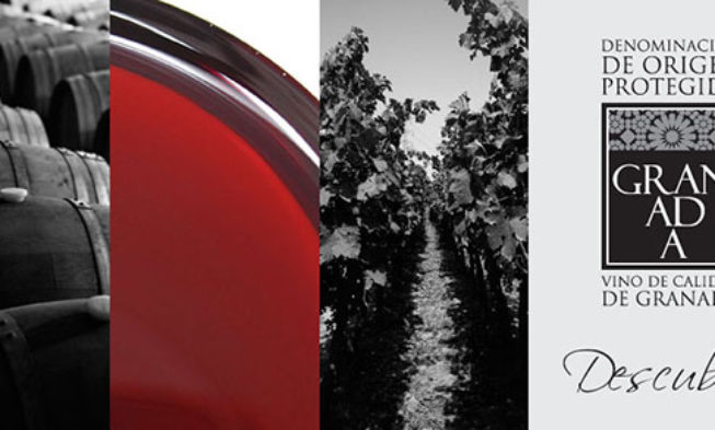 Presentación de la Denominación de Origen Protegida Granada Presentación de la Denominación de Origen Protegida Granada