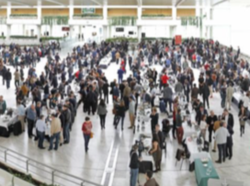 XVI Salón de los Mejores Vinos de España de Guía Peñín