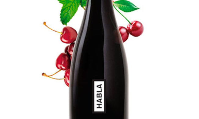 Cabernet franc, la novedad en HABLA Nº17 Cabernet franc
