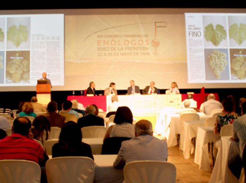 Finaliza el XVI Congreso Nacional de Enólogos en Jerez con un gran éxito de participación Finaliza el XVI Congreso Nacional de Enólogos en Jerez con un gran éxito de participación