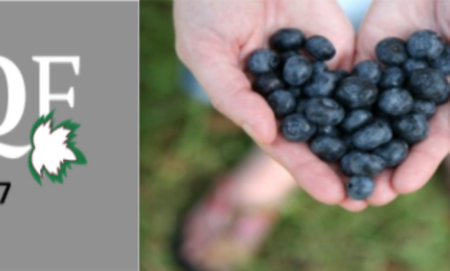 International Grapes Quality Forum 2017 International Grapes Quality Forum 2017