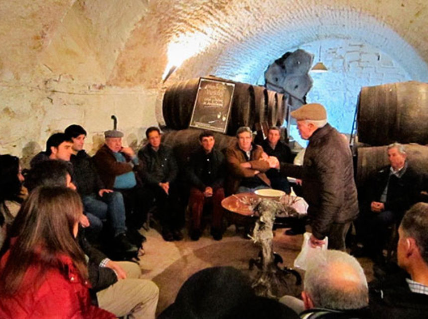 Expertos en Viticultura estudian la poda tradicional de Montilla-Moriles