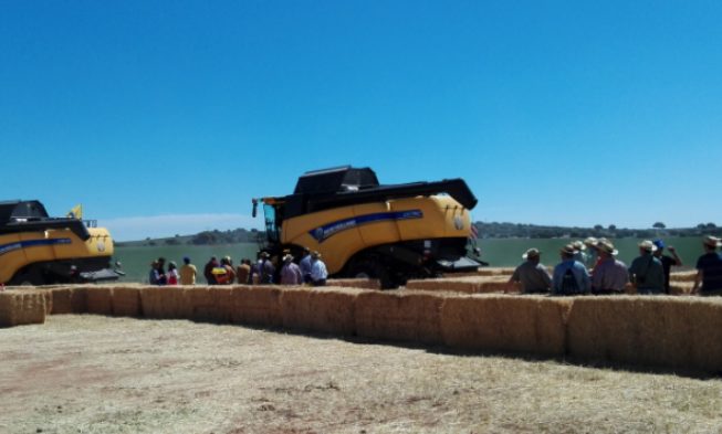 New Holland destaca en DEMOAGRO 2017