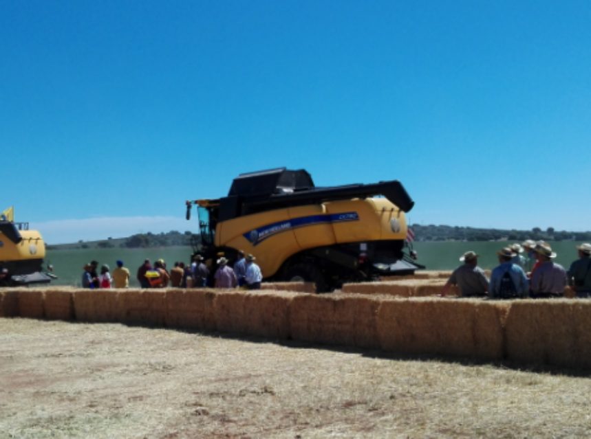 New Holland destaca en DEMOAGRO 2017