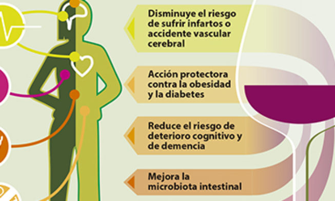 Los diversos beneficios sobre la salud derivados del consumo de vino