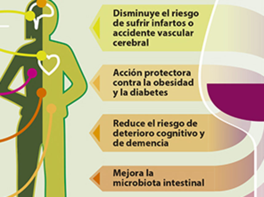 Los diversos beneficios sobre la salud derivados del consumo de vino