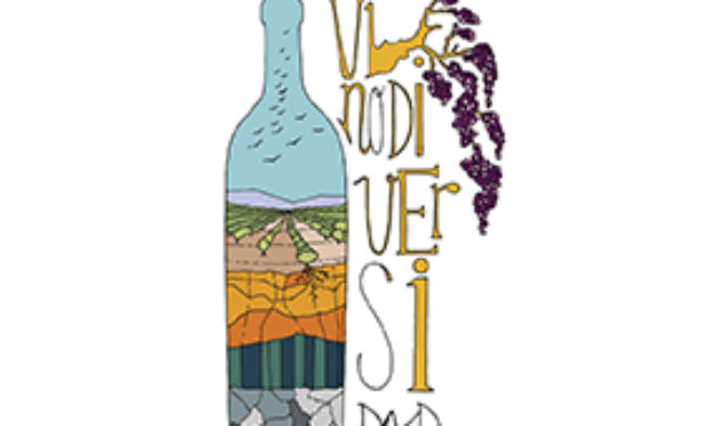 VinoDiversidad