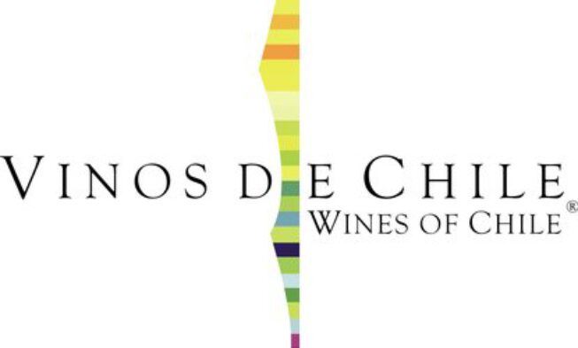 Stock de vinos en Chile alcanzó volumen histórico de 1.182 millones de litros en 2013