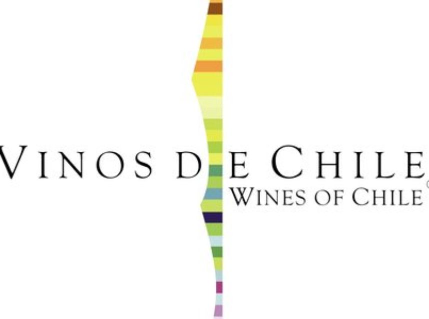 Stock de vinos en Chile alcanzó volumen histórico de 1.182 millones de litros en 2013