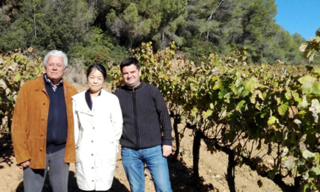 Japón se interesa por los Cavas Premium