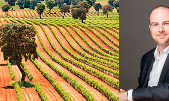 ‘El futuro del vino en España está en transmitir más y mejor la diversidad del país’ 'El futuro del vino en España está en transmitir más y mejor la diversidad del país'