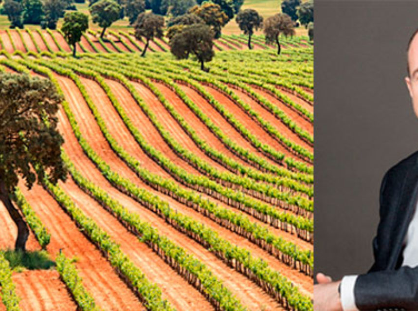 ‘El futuro del vino en España está en transmitir más y mejor la diversidad del país’ 'El futuro del vino en España está en transmitir más y mejor la diversidad del país'