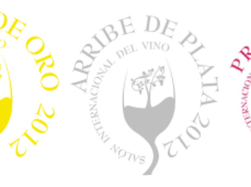 Éxito de la novena edición de la Gala de los Premios Arribe 2013