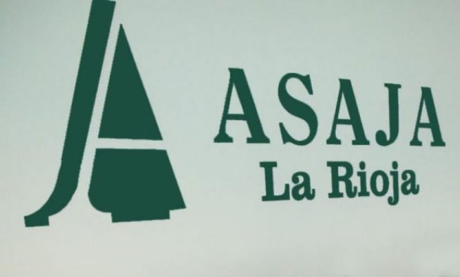 Comienza a buen ritmo la campaña de reestructuración y reconversión de viñedo