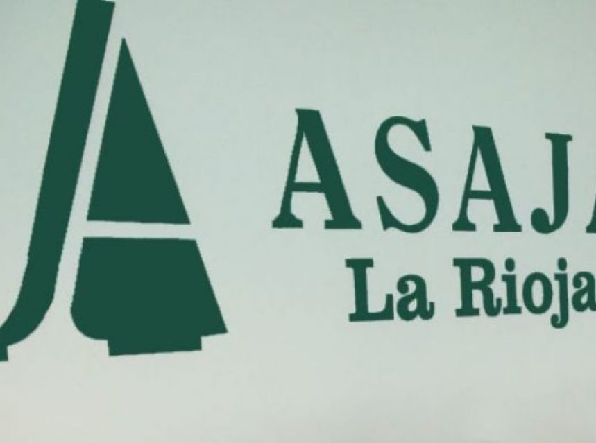 Comienza a buen ritmo la campaña de reestructuración y reconversión de viñedo