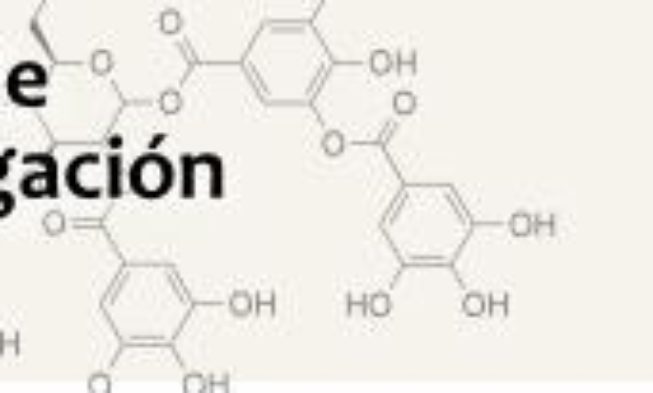 Becas de investigación OIV