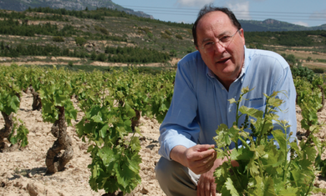 Matarromera abre la Bodega Carlos Moro en La Rioja