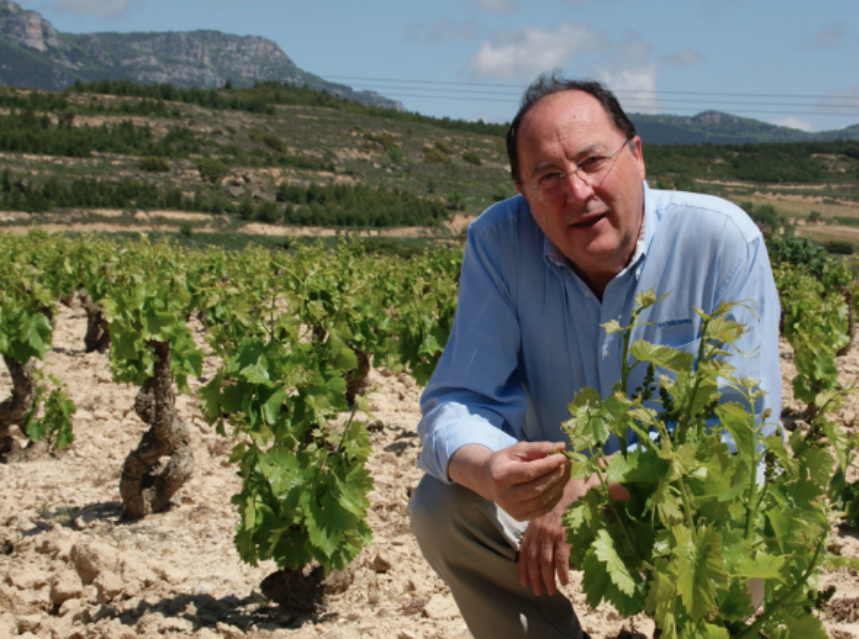 Matarromera abre la Bodega Carlos Moro en La Rioja