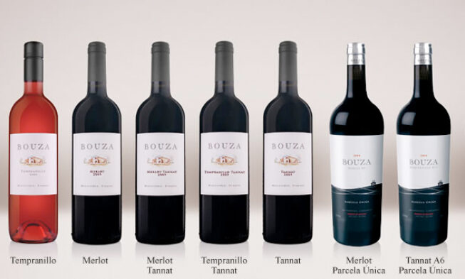 Tres bodegas uruguayas copan el top de vinos de Jancis Robinson Tres bodegas uruguayas copan el top de vinos de Jancis Robinson