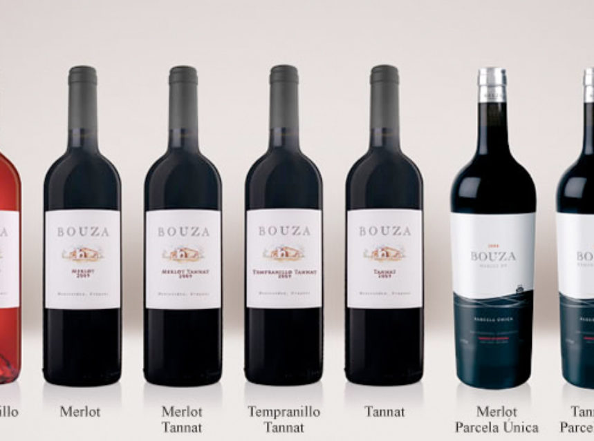 Tres bodegas uruguayas copan el top de vinos de Jancis Robinson